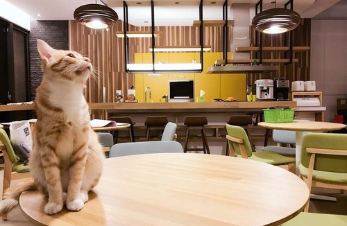 Yuchi Hotel | 28 m² Motel ∙ 3 guests