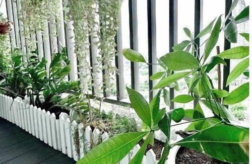 District 7 Apartment | 3 Bedroom 2 Bathroom apartment #3