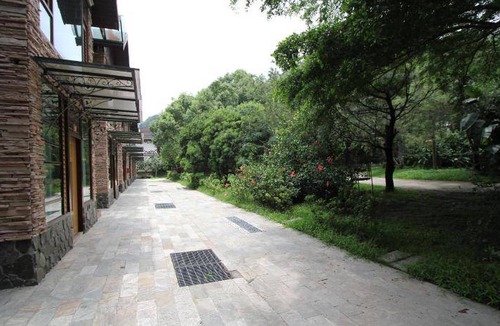 Guoxing Resort | 38 m² Resort ∙ 4 guests