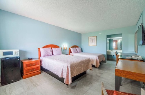 Harlingen Hotel | 4 Pet-Friendly Rooms Near Harlingen Local Dining Spots- Affordable Stay!