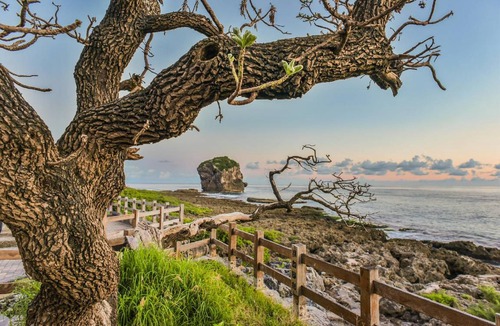 Sail Rock Beach Hotel | 45 m² Motel ∙ 6 guests