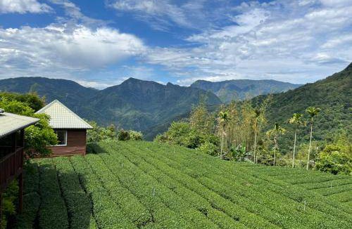Meishan Bed & Breakfast | 46 m² Bed and breakfast ∙ 6 guests