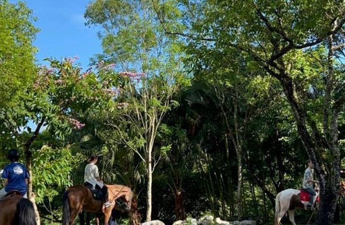 Ji'an Hotel | 71 m² Motel ∙ 3 bedrooms ∙ 10 guests