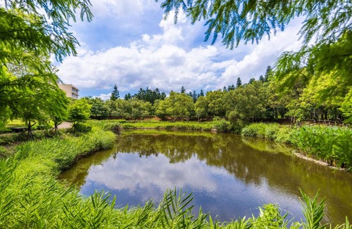 Zhongli District Resort | 91 m² Resort ∙ 127 guests