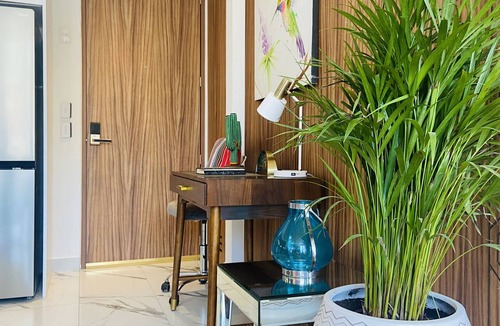 Romantic Zone Condo | A BREATHTAKING HOME: in ZONA ROMANTICA!