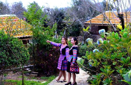 Mai Chau Cabin | A Pao homestay