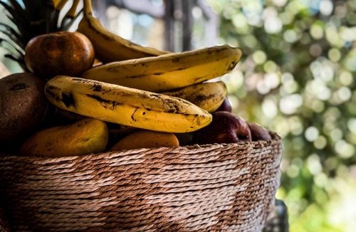 San Francisco Cabin | Adorable Cabaña SAN Pancho Nayarit