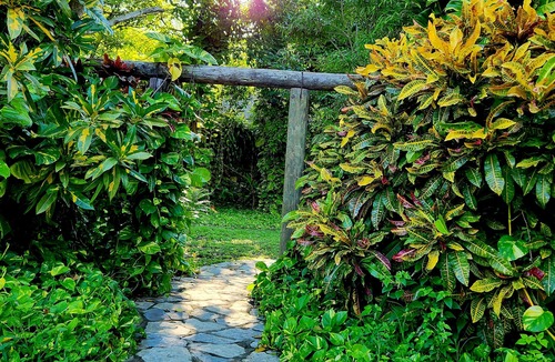La Huasteca Bed & Breakfast | Aldea Huasteca