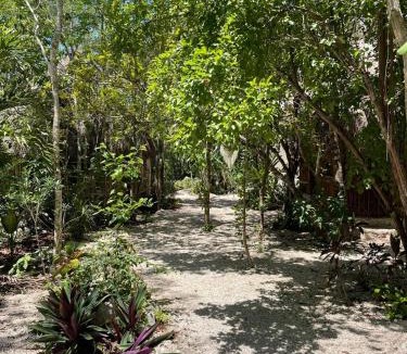 Francisco Uh May Bed & Breakfast | Aldea Yuyu