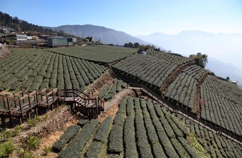 Zhuqi House | Alishan B&B YunMinGi