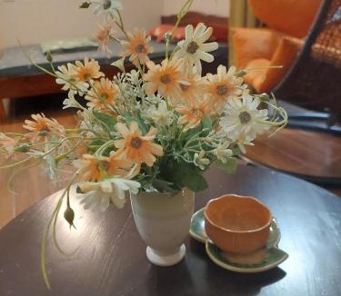 Hai Ba Trung House | alleyhomestay 2