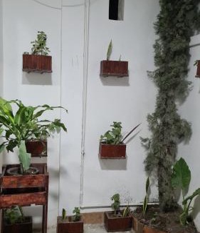 Veracruz Apartment | Alojamiento amplio para descanso H3