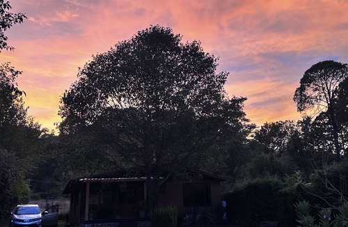 Valle de Bravo Cabin | An adobe cottage enjoys the silence near Monte Alto, Actitlan. Petfriendly