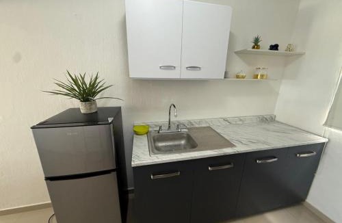 Guadalajara Apartment | Apartamento Remodelado del Carmen