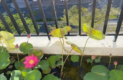 Nha Trang Apartment | Apartment Tu Dat