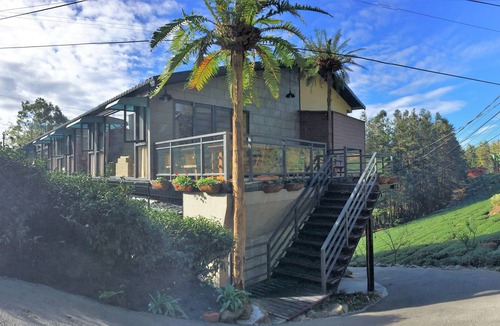 Alishan Bed & Breakfast | Applause In The Mountain