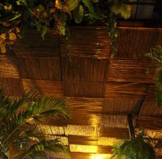 Ixtacalco Bed & Breakfast | Aquí Comes Rico Airport Hostel Share Room
