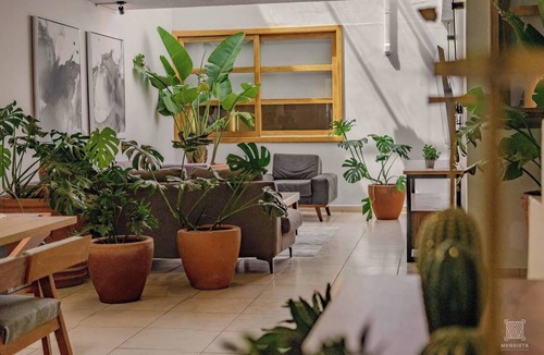Zamora de Hidalgo House | AR Suites: Casa Máster Suite Nueva Luneta
