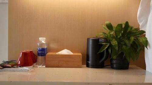 Cam Ranh Apartment | Arena jakovi condotel