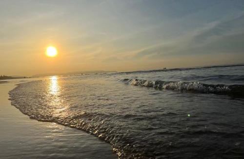 Vung Tau Apartment | Aria Resort Vũng Tàu
