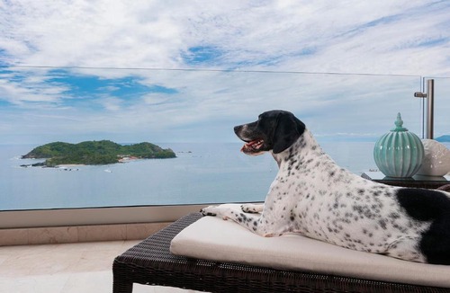 Ixtapa Resort | Azul Ixtapa Grand All Inclusive Suites - Spa & Convention Center