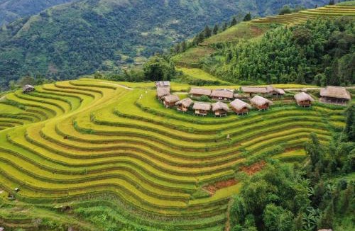 Thong Nguyen House | Bình Minh homestay