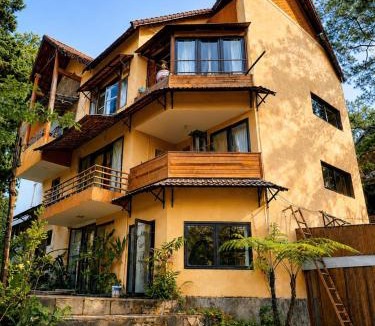 Kon Plong Cabin | Bình Sơn Măng Đen home stay