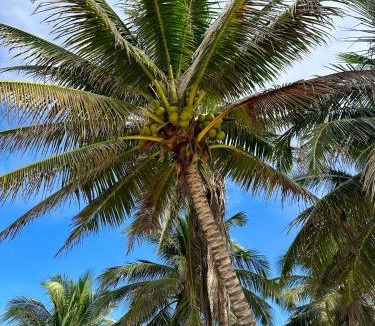 Santa Maria Tonameca Hotel | Beachfront Paradise Boutique Hotel - Breeze Room ll