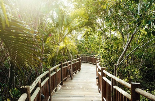Ejidal Resort | Beautiful 1-bedroom resort with kitchen and living + golf in Riviera Maya