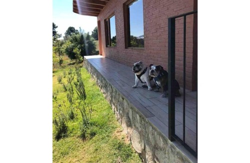 Tapalpa Cabin | Beautiful Cabin for couples