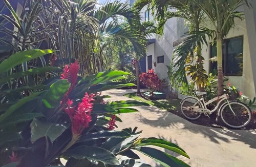 Villa Juarez House | Beautiful house for rent, walking distance to the beach 1 bedroom plus sofabed