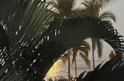 Diaz Ordaz Condo | Beautiful oceanfront condo amid the palms of Los Tules
