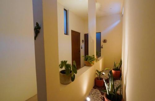 Centro House | Beautiful studio in the heart of the city.