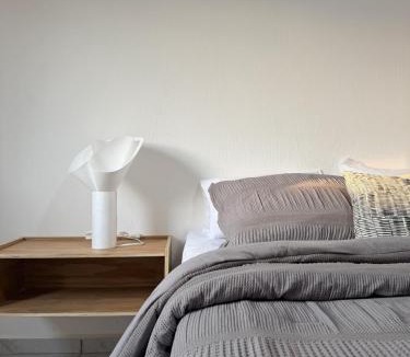 Ocotlan Apartment | Belisario Apartment