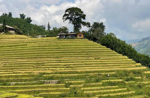 Sa Pa House | Best View Homestay