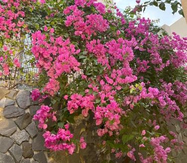 Cam Lam Villa | BIỆT THỰ BIỂN CAM RANH Wyndham garden