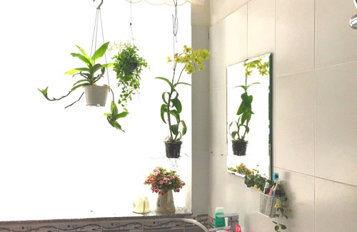 Da Kao Apartment | 🌟Blues&Jazz Studio🌟Rooftop Garden🌟Large Bathroom🌟City Center