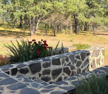 Atemajac de Brizuela Ski Chalet | Cábaña bonita vista
