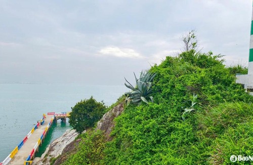 Cua Lo Apartment | Căn Homestay Muong Thanh Cua Lo Beach View biển, trung tâm Cửa Lò