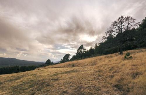 Tlalpan Apartment | Cabaña en el Ajusco, experiencia única en la naturaleza