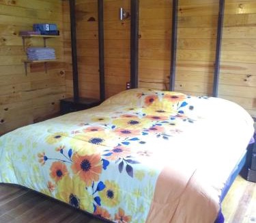 Mazamitla Ski Chalet | CABAÑA MINCHY