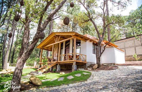 Tapalpa Cabin | Cabañas La Vid Del Bosque