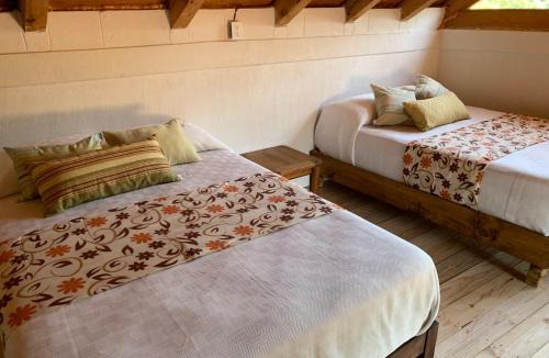 Huasca De Ocampo House | Cabañas los cactus 2