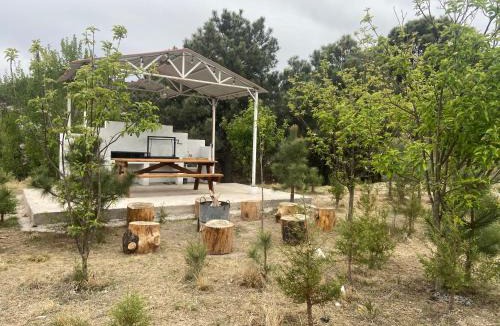 Creel Hotel | Cabañas Rochivo Ranch