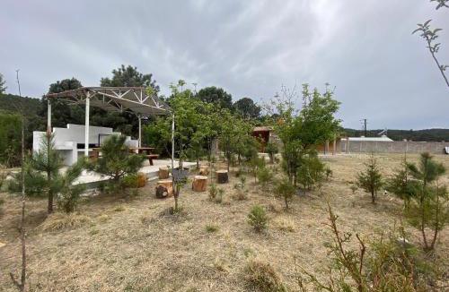 Creel Hotel | Cabañas Rochivo Ranch