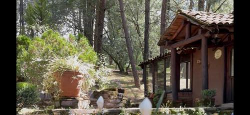 Tapalpa Ski Chalet | Cabañas Tapalpa Sierra del Tecuan, Cabaña Conejo