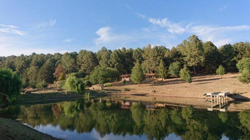 Tapalpa Ski Chalet | Cabañas Tapalpa Sierra del Tecuan, Cabaña Conejo