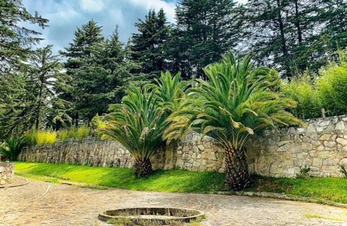 Pachuca Cabin | CABIN FOR 4 PEOPLE #2 @JARDIN RINCON DE LAS ESTRELLAS