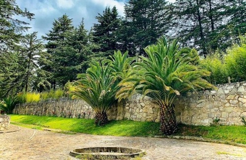Pachuca Cabin | CABIN FOR 4 PEOPLE #7 @JARDIN RINCON DE LAS ESTRELLAS