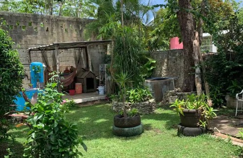 Cozumel Cabin | Cabin with Satellite Internet, Swimming Pool and Bike